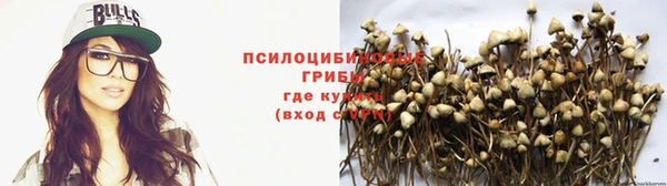стаф Верхний Тагил