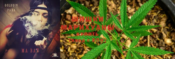 стаф Верхний Тагил